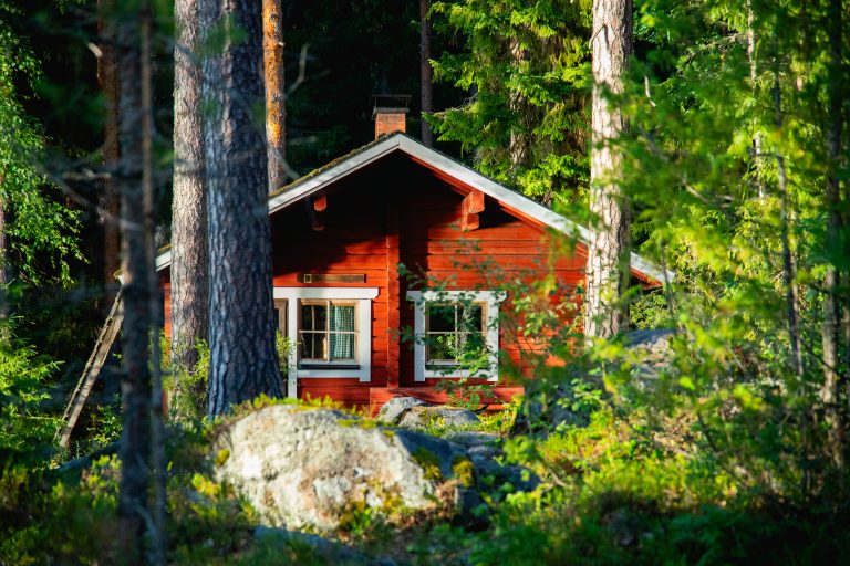 Punainen hirsimökki vehreän metsän keskellä