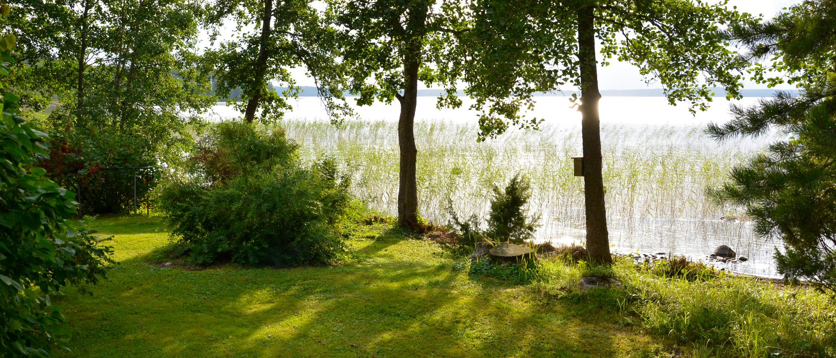 Aurinkoinen näkymä järven rannasta, valo siivilöityy puiden välistä nurmikolle.