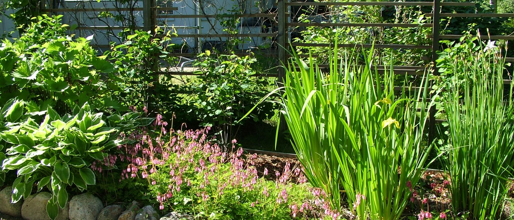 Vaakarima-aita ja köynnöksiä