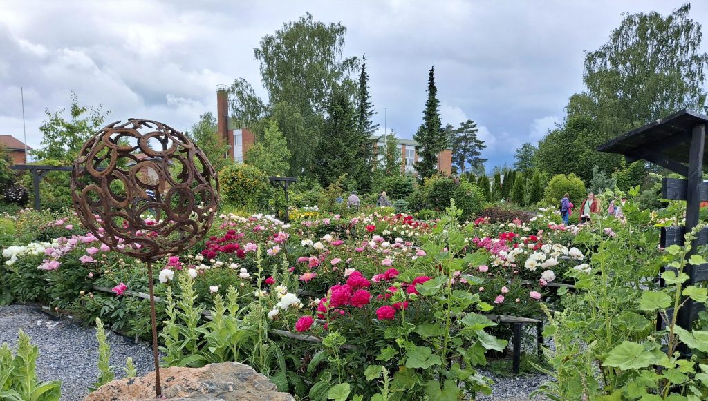 Puistossa kukkivat sadat pionit ja myös monet muut kasvit.