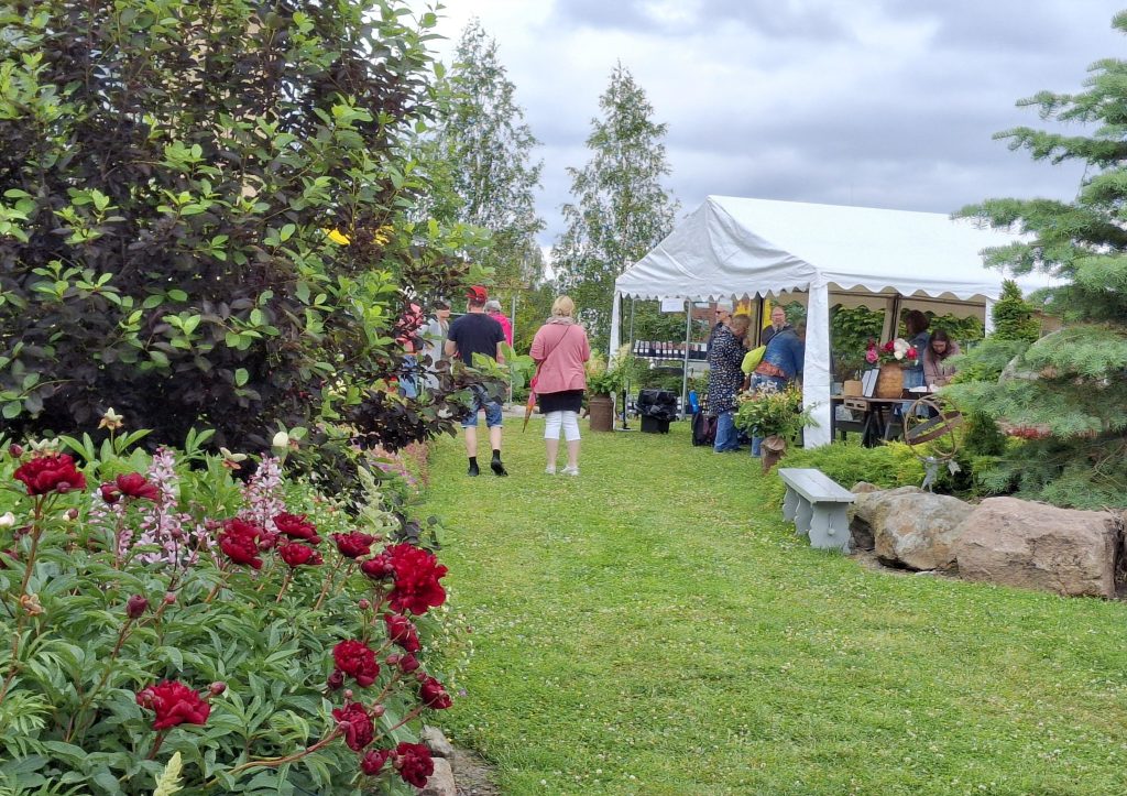 Tapahtumaa juhlisti valkoinen teltta pionipuistossa.