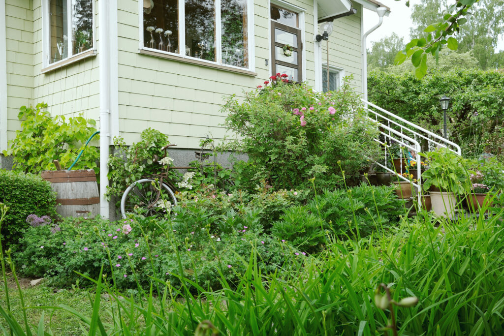 Rehevä piha talon edustalla