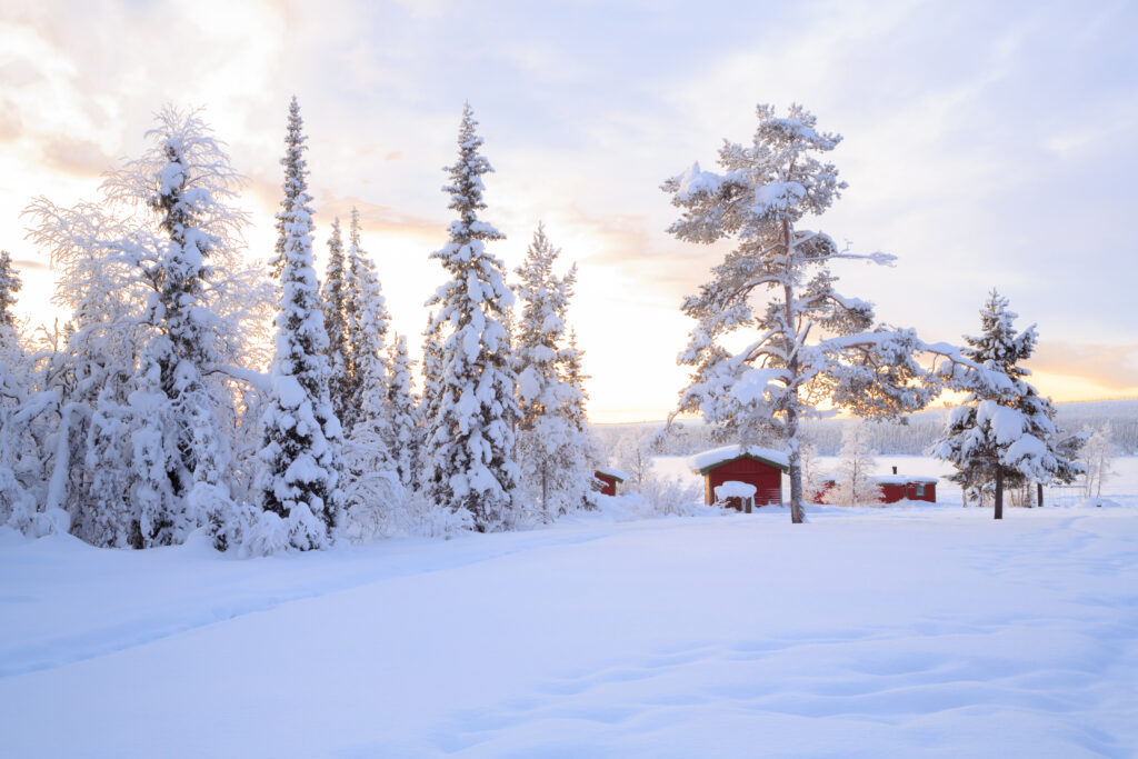 Talvinen maisema, punainen talo lumisten puiden keskellä