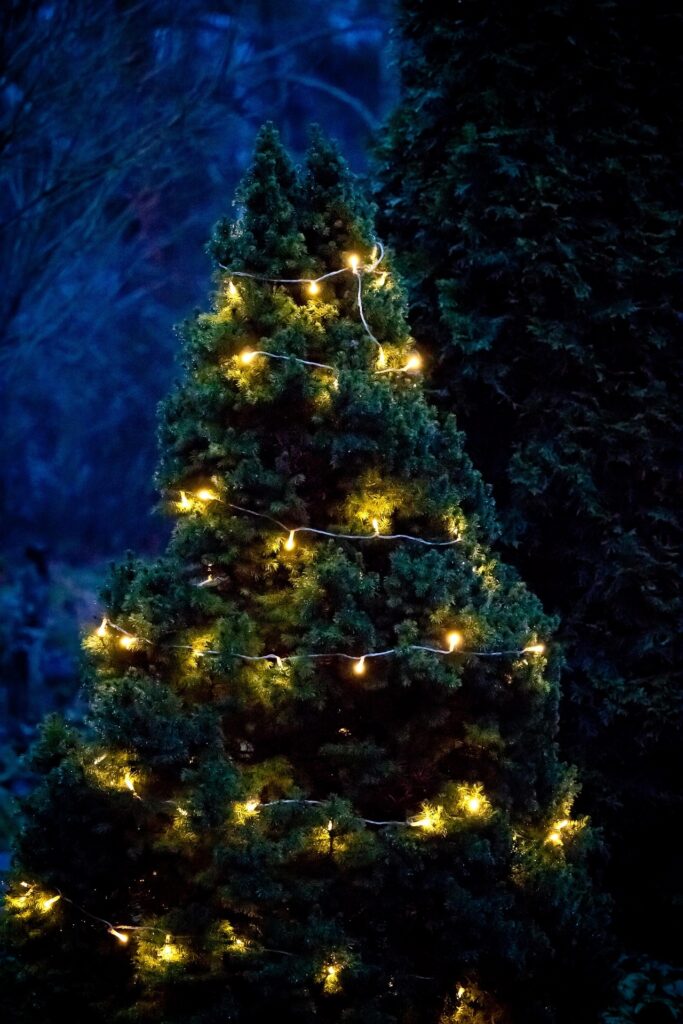 Jouluvaloja joulukuusessa ulkona pimeässä
